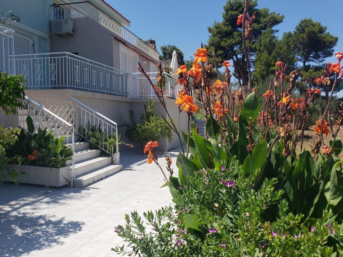 Malibu Studios & Apartments Lassi  Exterior photo