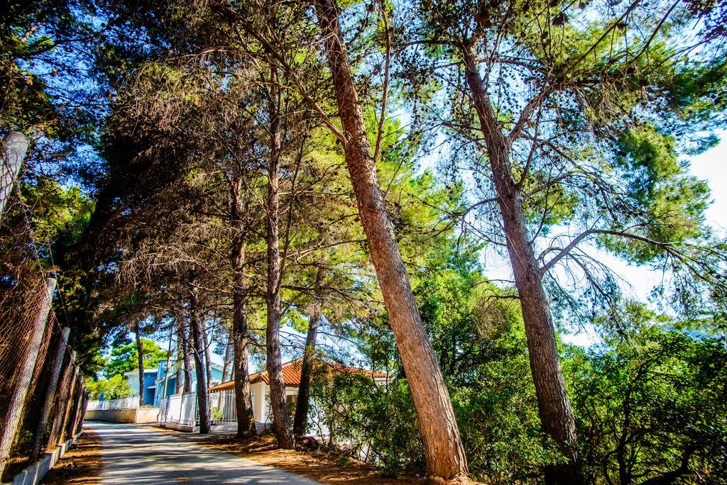 Malibu Studios & Apartments Lassi  Exterior photo